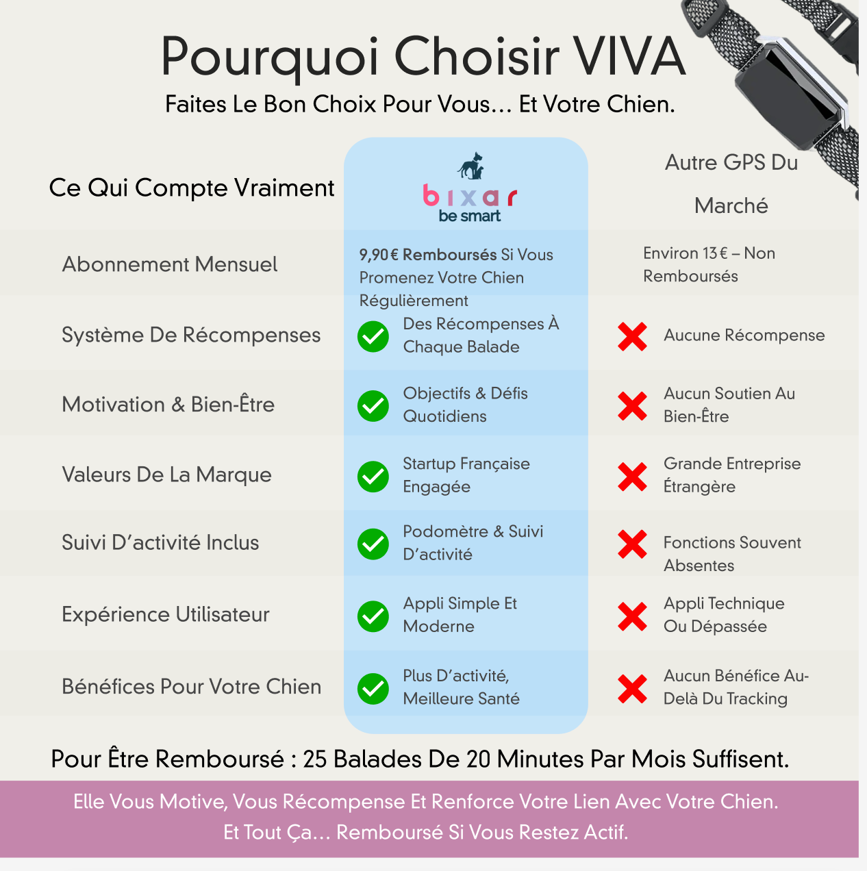 Viva+ GPS 4G pour chien | 1 an d'abonnement inclus | Suivi en temps réel