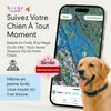 Edition spécial | VivaMax GPS 4G pour chien | abonnement illimité inclus à vie | Suivi en temps réel