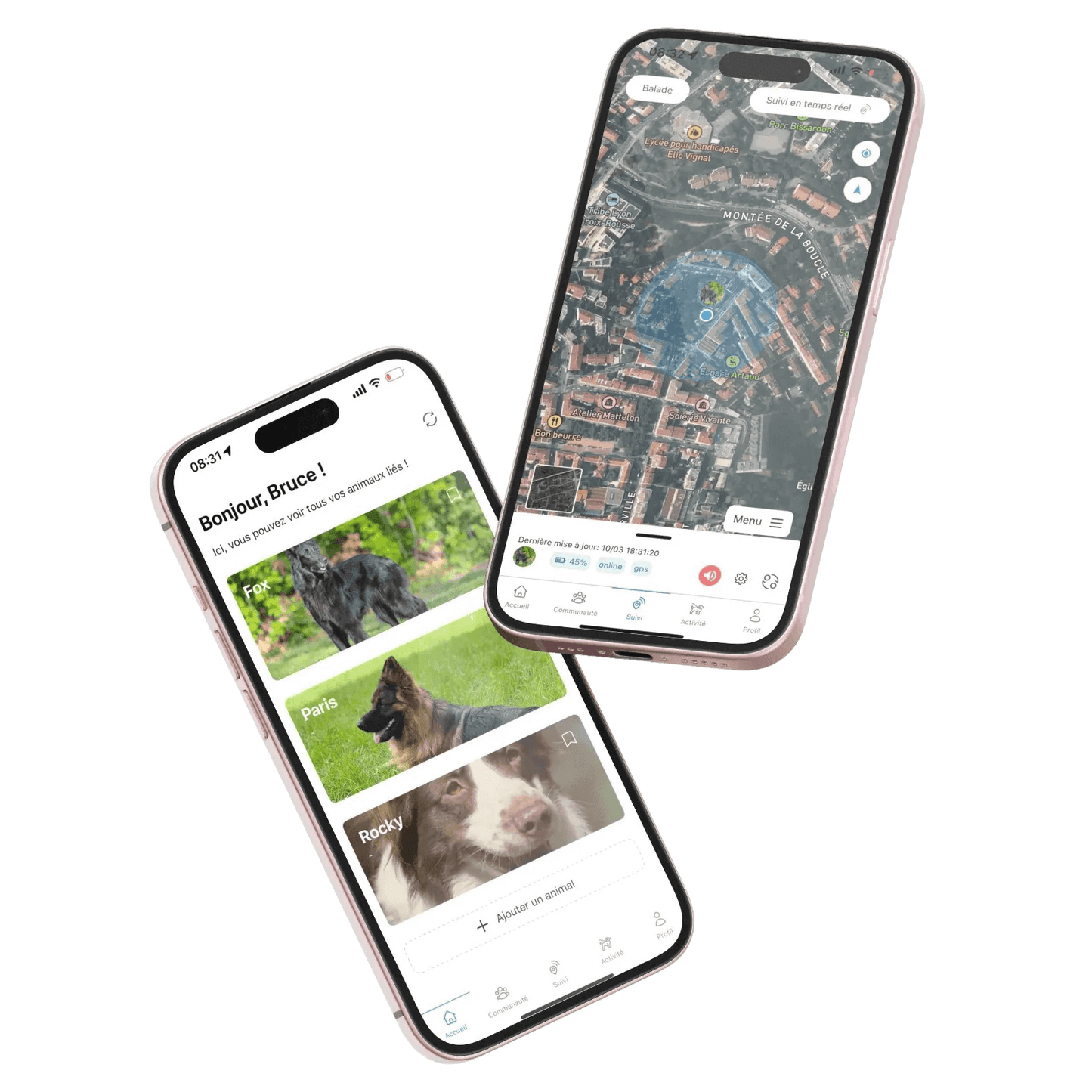 Viva - GPS 4G pour chien | Suivi en temps réel & abonnement remboursé - Bixar