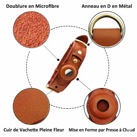 Collier AirTag Bixar – Élégant, sécurisé et conçu pour le suivi de votre animal