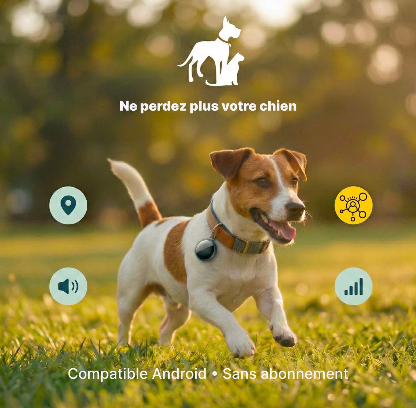 Wirelesstag – Traceur sans abonnement chien chat