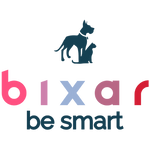 bixar