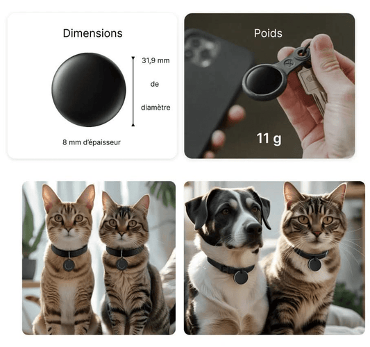 SmartTag – Traceur sans abonnement chien chat - Bixar