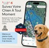 Viva+ GPS 4G pour chien | 1 an d'abonnement inclus | Suivi en temps réel - Bixar