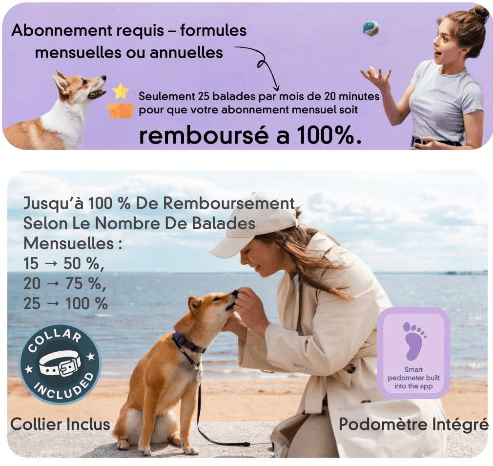 Viva - GPS 4G pour chien | Suivi en temps réel & abonnement remboursé - Bixar