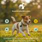 Wirelesstag dual– Traceur sans abonnement chien chat