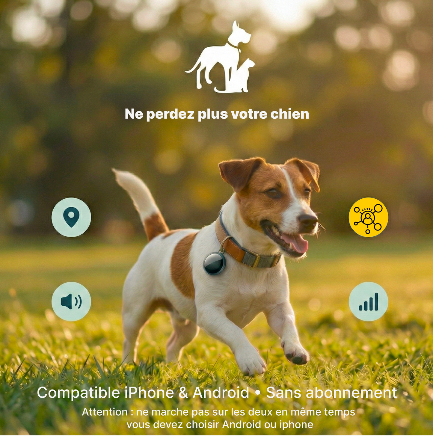 Wirelesstag dual– Traceur sans abonnement chien chat