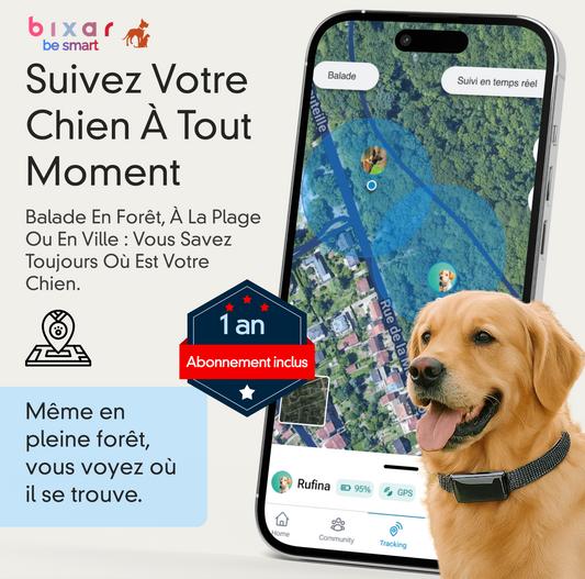Viva+ GPS 4G pour chien | 1 an d'abonnement inclus | Suivi en temps réel