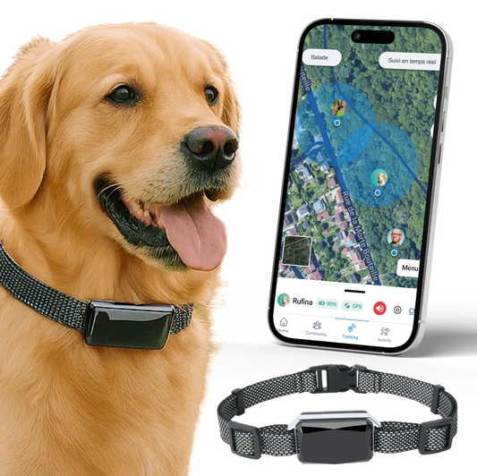 Viva - GPS 4G pour chien | Suivi en temps réel & abonnement remboursé