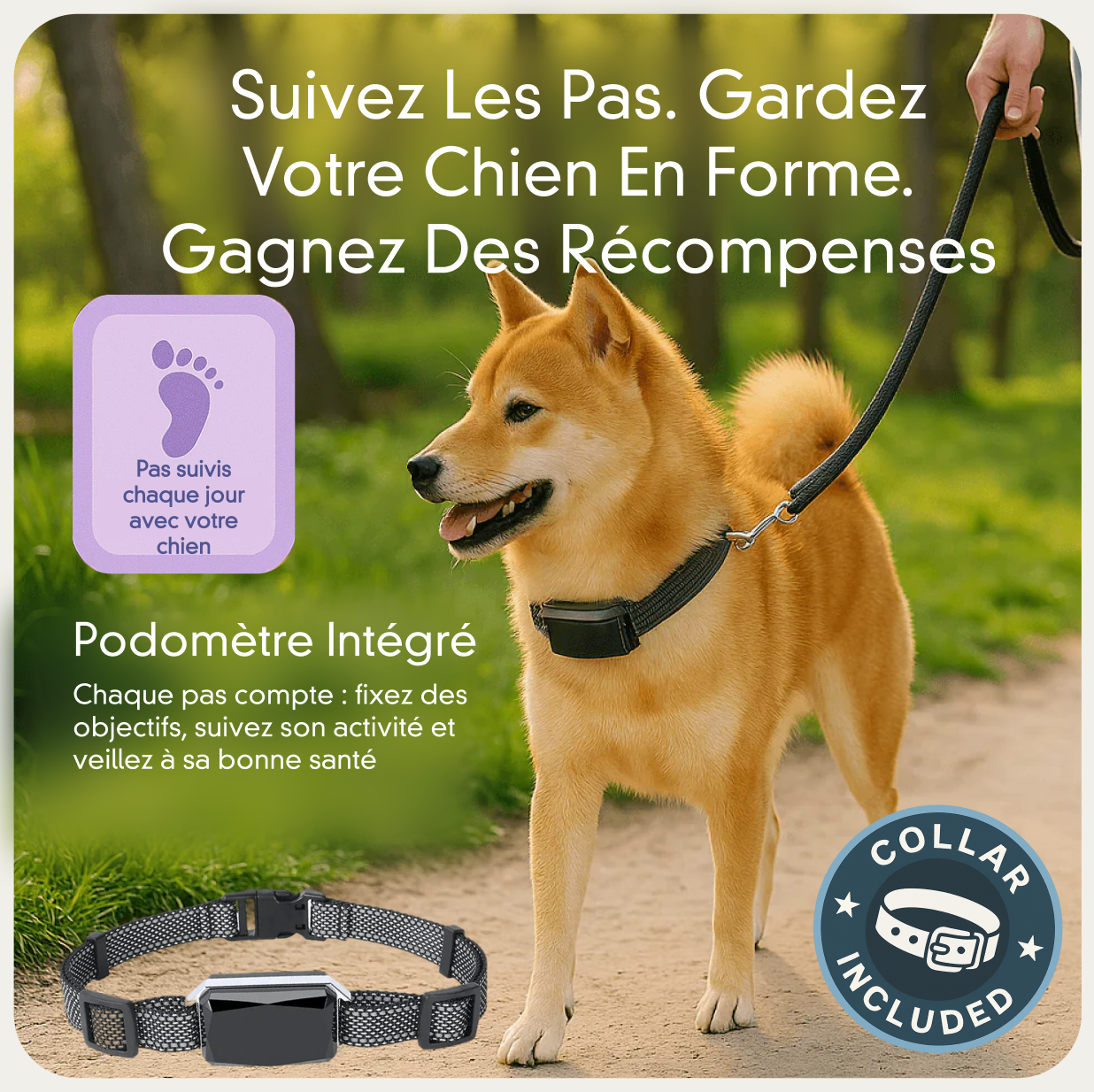 Viva+ GPS 4G pour chien | 1 an d'abonnement inclus | Suivi en temps réel