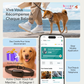 Viva+ GPS 4G pour chien | 1 an d'abonnement inclus | Suivi en temps réel