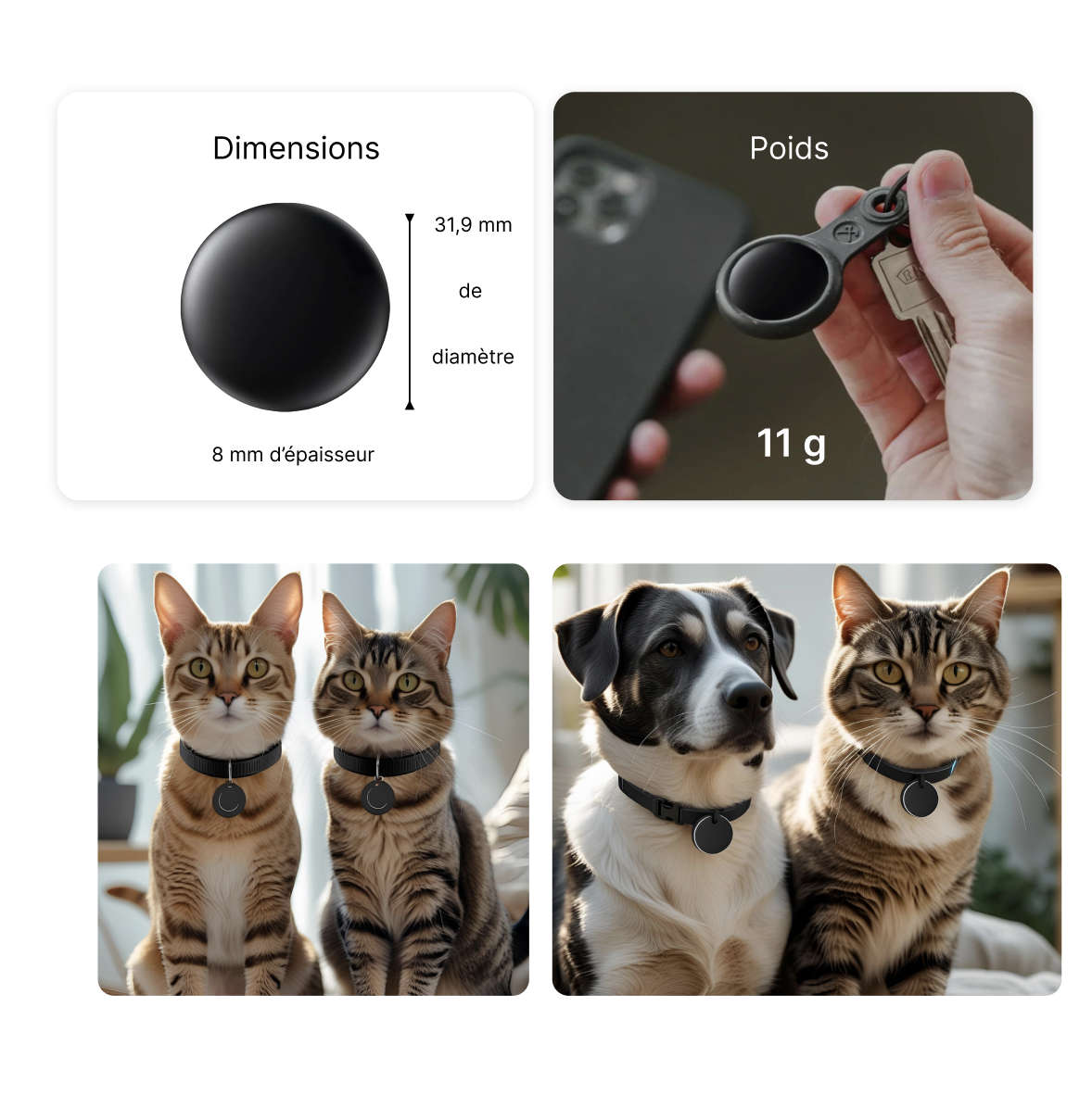 Wirelesstag – Traceur sans abonnement chien chat