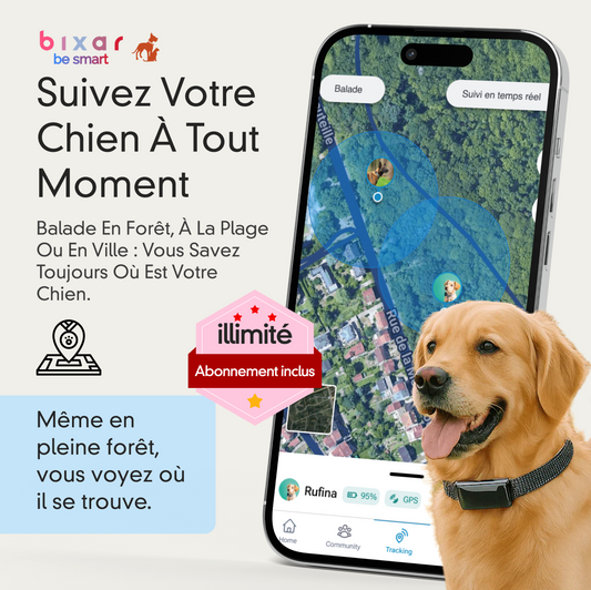 Edition spécial | VivaMax GPS 4G pour chien | abonnement illimité inclus à vie | Suivi en temps réel
