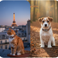 Viva+mini GPS 4G pour chien et chat | 1 an d'abonnement inclus | Suivi en temps réel