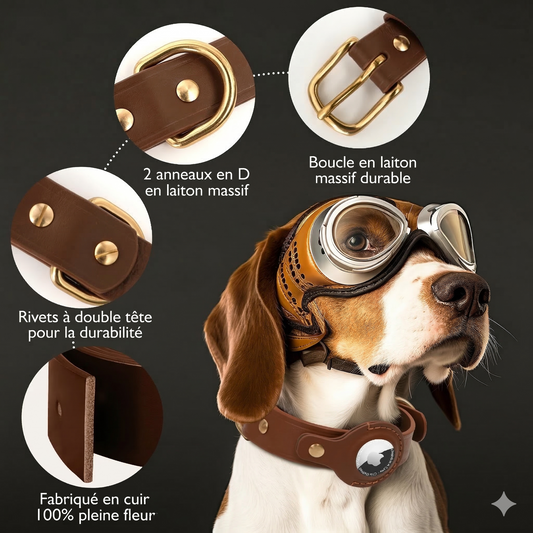 Collier AirTag Bixar – Élégant, sécurisé et conçu pour le suivi de votre animal