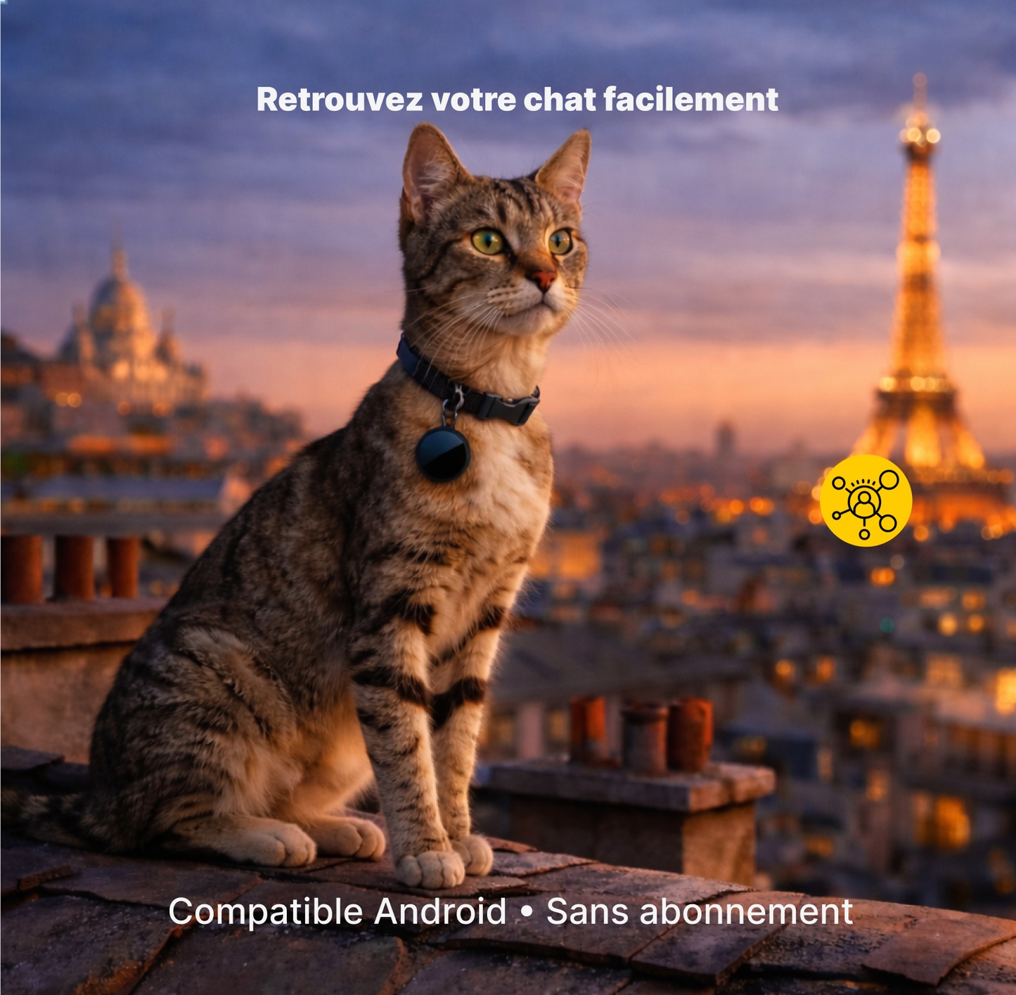 Wirelesstag – Traceur sans abonnement chien chat
