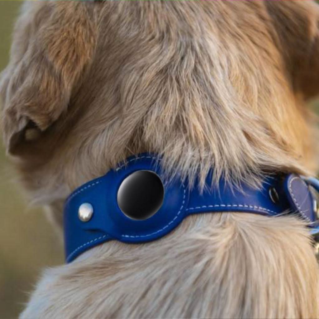 SmartTag – Traceur sans abonnement chien chat - Bixar