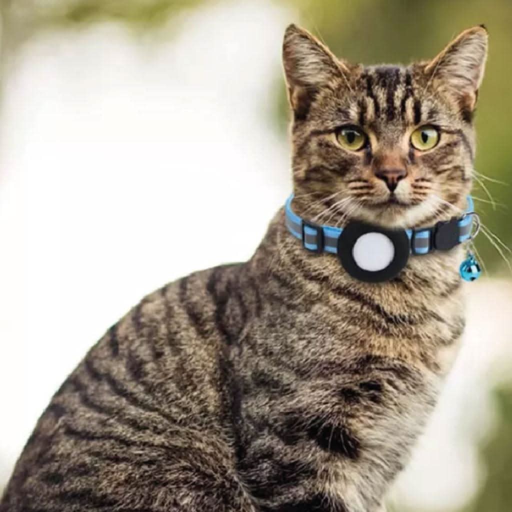 SmartTag – Traceur sans abonnement chien chat - Bixar