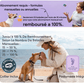 Viva - GPS 4G pour chien | Suivi en temps réel & abonnement remboursé - Bixar