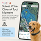 Viva - GPS 4G pour chien | Suivi en temps réel & abonnement remboursé - Bixar