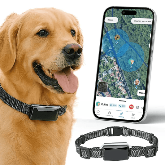 Viva - GPS 4G pour chien | Suivi en temps réel & abonnement remboursé - Bixar